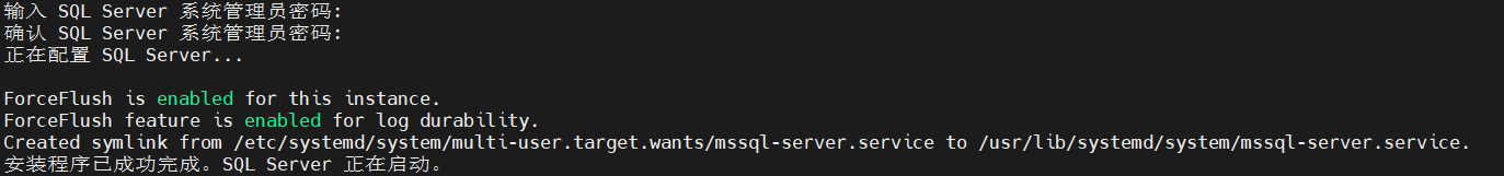 image-20231114225323307