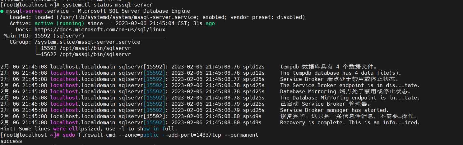 image-20231114225435253