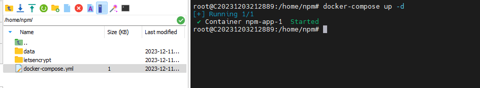 image-20231211214852943