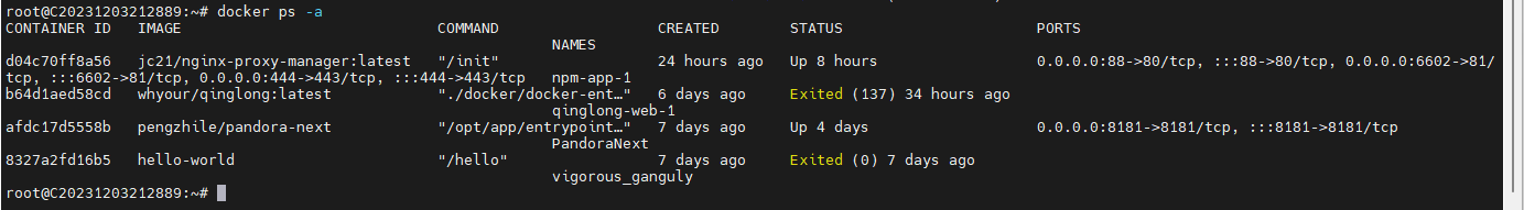 image-20231211213449696