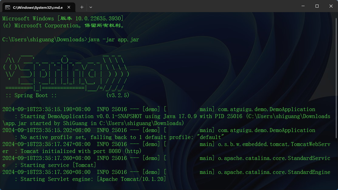 image-20240918233634410