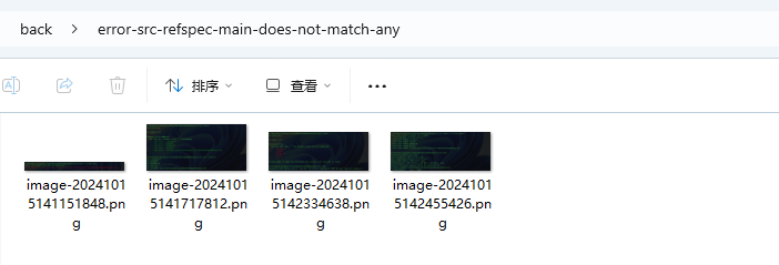 image-20241015161934788