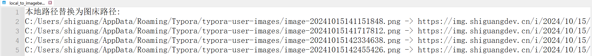 image-20241015185000518